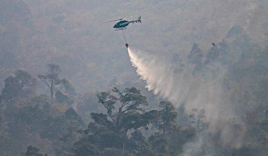 Thailand Padamkan Kebakaran Hutan, 30 Ribu Liter Air Dijatuhkan